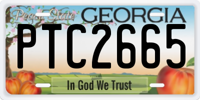 GA license plate PTC2665