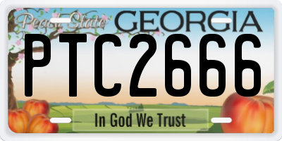 GA license plate PTC2666