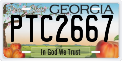 GA license plate PTC2667