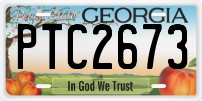 GA license plate PTC2673