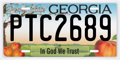 GA license plate PTC2689