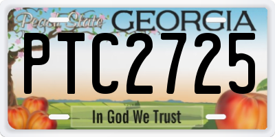 GA license plate PTC2725