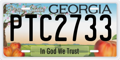 GA license plate PTC2733
