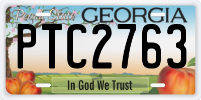 GA license plate PTC2763