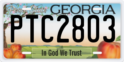 GA license plate PTC2803