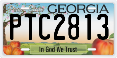 GA license plate PTC2813