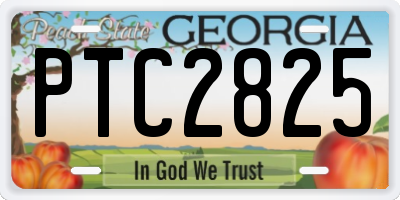 GA license plate PTC2825