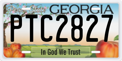 GA license plate PTC2827