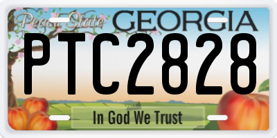 GA license plate PTC2828