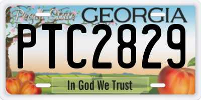 GA license plate PTC2829