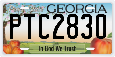 GA license plate PTC2830
