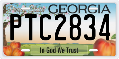 GA license plate PTC2834