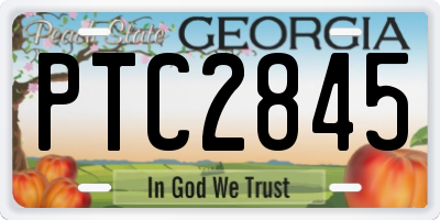 GA license plate PTC2845