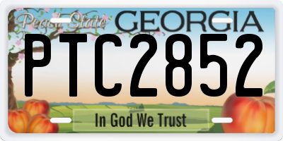 GA license plate PTC2852