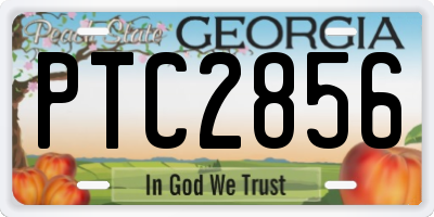 GA license plate PTC2856