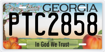 GA license plate PTC2858