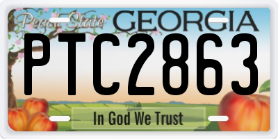 GA license plate PTC2863
