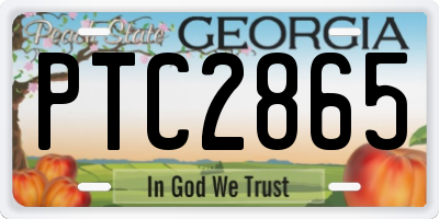 GA license plate PTC2865