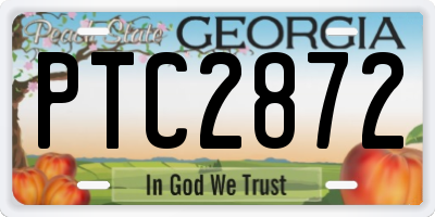 GA license plate PTC2872