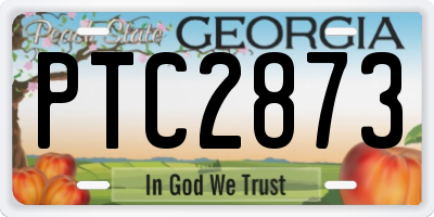 GA license plate PTC2873