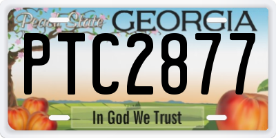 GA license plate PTC2877