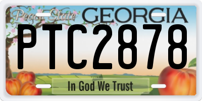 GA license plate PTC2878