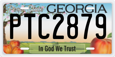 GA license plate PTC2879