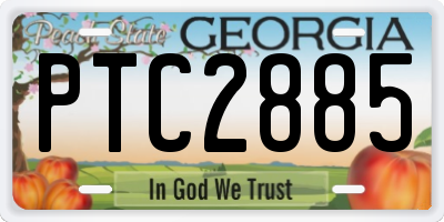 GA license plate PTC2885