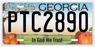GA license plate PTC2890