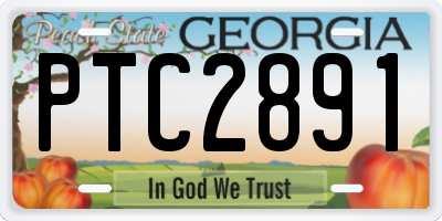 GA license plate PTC2891