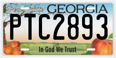GA license plate PTC2893