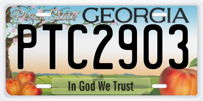 GA license plate PTC2903