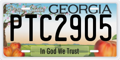 GA license plate PTC2905