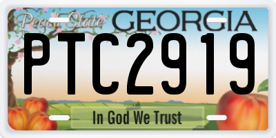 GA license plate PTC2919
