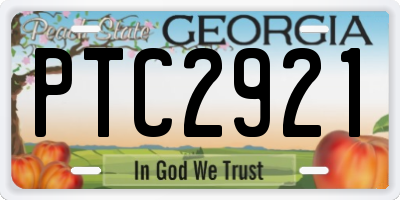 GA license plate PTC2921