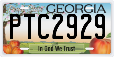 GA license plate PTC2929