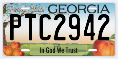 GA license plate PTC2942