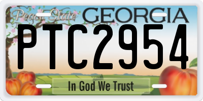 GA license plate PTC2954