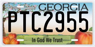 GA license plate PTC2955