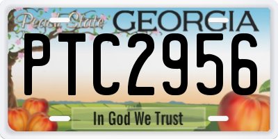 GA license plate PTC2956