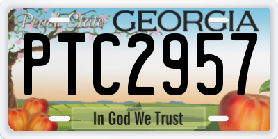 GA license plate PTC2957
