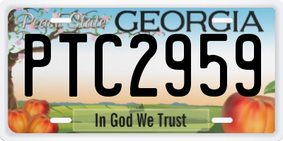 GA license plate PTC2959