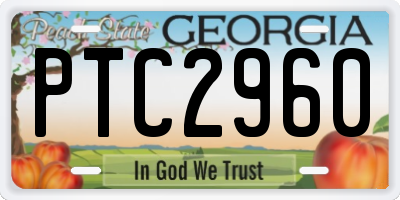 GA license plate PTC2960