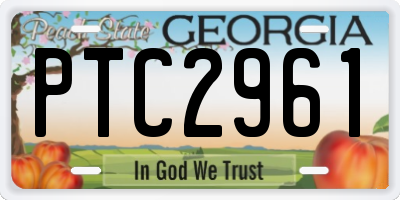 GA license plate PTC2961