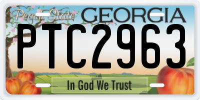 GA license plate PTC2963
