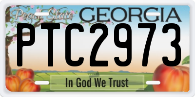 GA license plate PTC2973