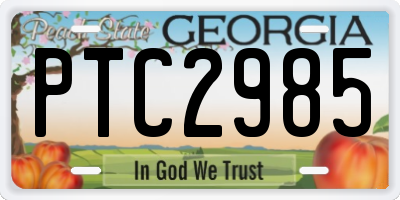 GA license plate PTC2985
