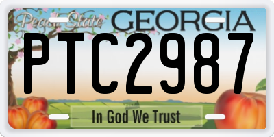 GA license plate PTC2987