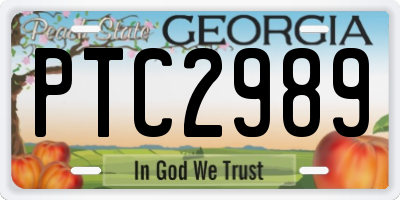 GA license plate PTC2989