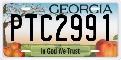 GA license plate PTC2991